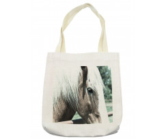 Draft Horse from Netherlands Tote Bag