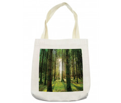 Sunny Day in the Forest Tote Bag