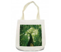 Leaves Tree Branches Tote Bag