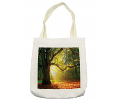 Oak Autumn Leaves Hazy Tote Bag