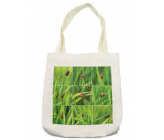 Ladybug over Fresh Grass Tote Bag