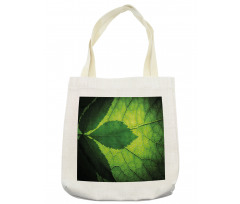 Brazilian Tree Leaf Eco Tote Bag
