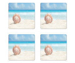 Sandy Exotic Beach Shell Coaster Set Of Four