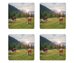 Cows Grazing in Meadow Coaster Set Of Four