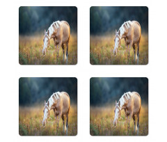 Palomino Horse Grazing Coaster Set Of Four