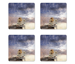 Cloudscape Sunset Scene Coaster Set Of Four