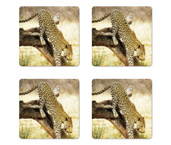 Leopard Wild Cat on Tree Coaster Set Of Four