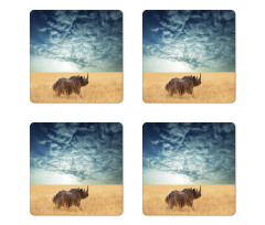 Rhino Dramatic Cloudy Sky Coaster Set Of Four