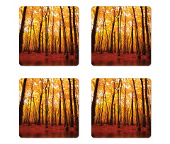 Autumn Forest Trees Coaster Set Of Four