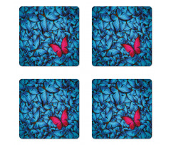 Large Bugs Lepidoptera Coaster Set Of Four