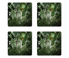 Tropical Rainforest Wild Coaster Set Of Four