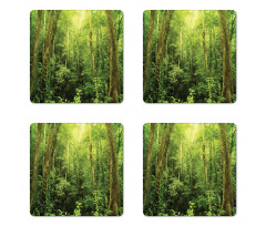 Rainforest Landscape Coaster Set Of Four