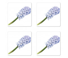 Spring Love Hyacinth Coaster Set Of Four