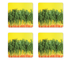 Carrots in a Row Art Coaster Set Of Four