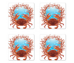 Seashells and Red Coral Coaster Set Of Four