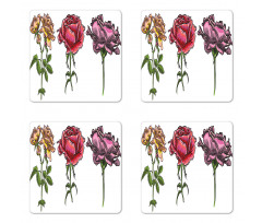 Various Rose Flower Types Coaster Set Of Four