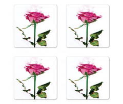 Single Flower Branch Coaster Set Of Four