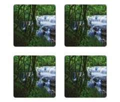 Canyon Woods Scene Coaster Set Of Four