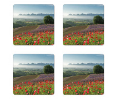 Lavender Farm Morning Coaster Set Of Four