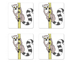 Tropical Ring Tailed Cartoon Coaster Set Of Four