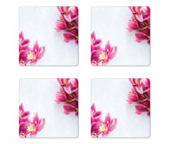 Relaxing Orchids Pattern Coaster Set Of Four