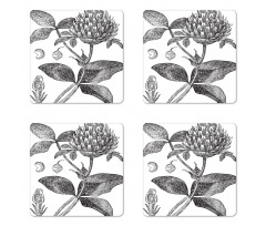 Nostalgic Flower Art Coaster Set Of Four