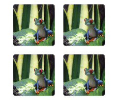 Exotic Vivid Animal on Leaf Coaster Set Of Four