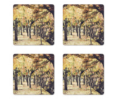 Nara Park Japan Coaster Set Of Four