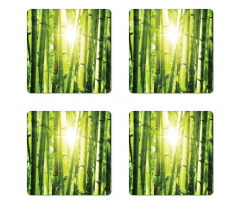 Sun Beams in Wild Jungle Coaster Set Of Four