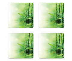 Spa Bamboos Trees Coaster Set Of Four