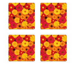 Warm Tones Flowers Coaster Set Of Four