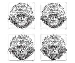 Wild Animal Portrait Coaster Set Of Four