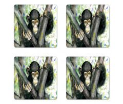 Watercolor Baby Chimpanzee Coaster Set Of Four