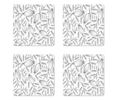 Monochrome Vintage Sketch Coaster Set Of Four