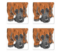 Sad Looking Dog Cartoon Coaster Set Of Four