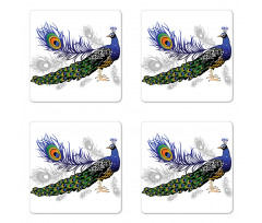 Wild Peacock Feather Coaster Set Of Four