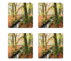 Misty Woods Cornwall Coaster Set Of Four