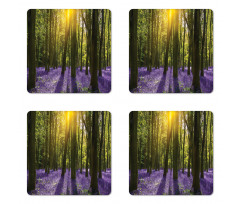 Bluebell Blossoms Coaster Set Of Four