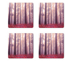 Trees Foggy Sunlight Coaster Set Of Four