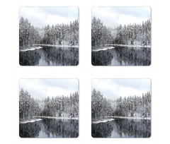 Trees in Cold Day Lake Coaster Set Of Four