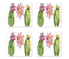 Succulents Coaster Set Of Four