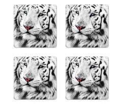 Winter White Tiger Coaster Set Of Four