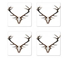 Deer Stag Bones Mounted Coaster Set Of Four