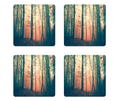 Autumn Forest Woodland Coaster Set Of Four