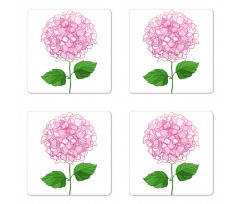 Hand Drawn Pink Petals Coaster Set Of Four