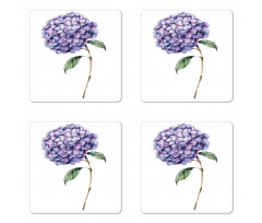 Fine Art Paint of Flower Coaster Set Of Four