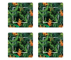 Modern Jungle Square Coaster Set Of Four