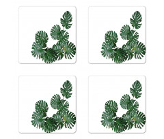 Monstera Deliciosa Coaster Set Of Four