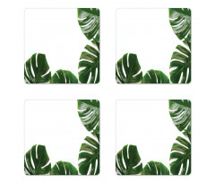 Swiss Cheese Plant Coaster Set Of Four