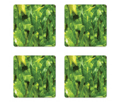 Photo of Tropic Botany Coaster Set Of Four